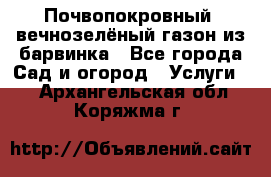 Почвопокровный, вечнозелёный газон из барвинка - Все города Сад и огород » Услуги   . Архангельская обл.,Коряжма г.